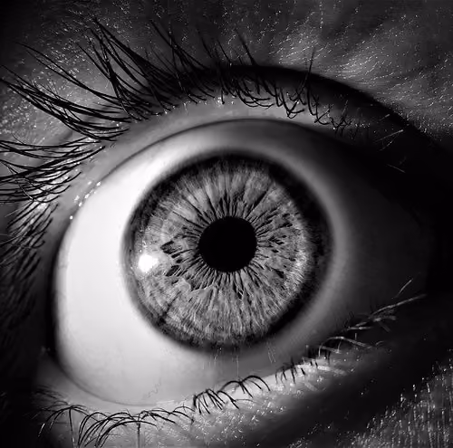 The Invincible Eyes