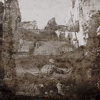 The Last Fight of the Panther