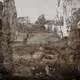 The Last Fight of the Panther