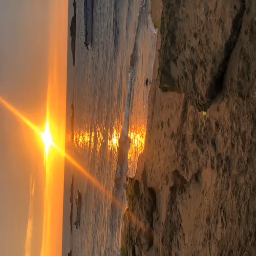 the last sunset