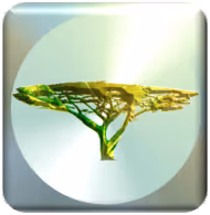 THE LEAVES OF PARADISE