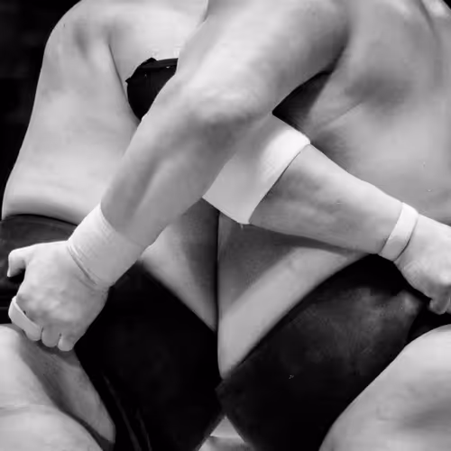 the legend of Yokozuna - old