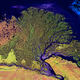 The Lena River - old