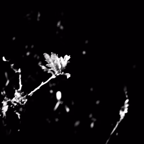 Test 1.1