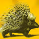 The Libertarian Party