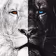 The Lion's Diaries