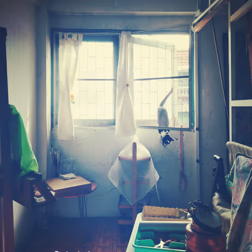 The LIVE Studio