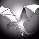 Lost Ancient Dragons
