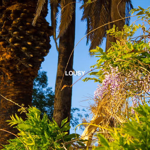 The "Lousy" Collection