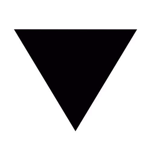 The Expansion Project