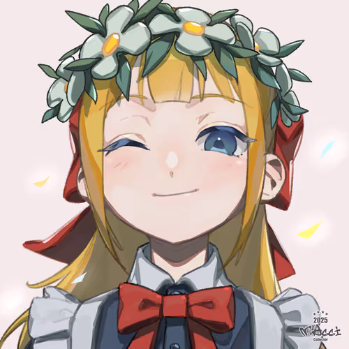 THE MAcci COLLECTORS