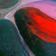 THE MAPS OF MATTER