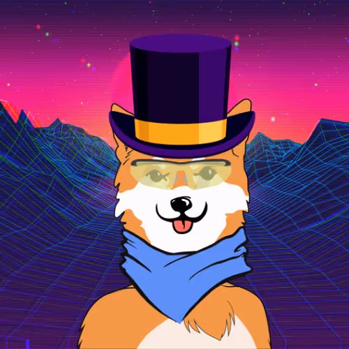 The meme king Shiba Inu aka Bonk Dog - old