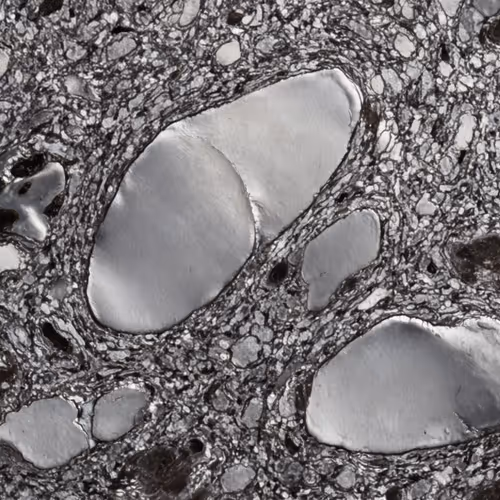 THE METALLOGRAPHIC RECORD