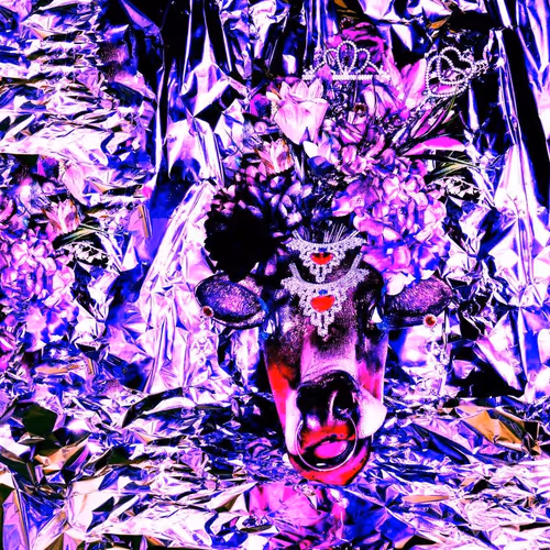 the  michel haddi  experience - old