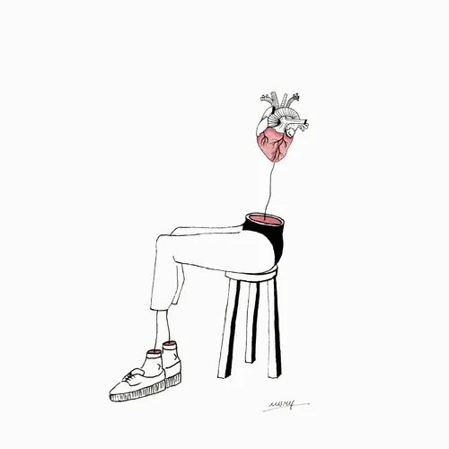 the msry 's collection