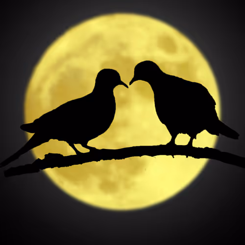 The Moon and Birds - old