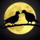 The Moon and Birds - old