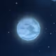 The Moon and The Maple