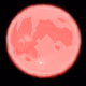 The Moon & The lady & The Flora Collection