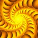 The_Motion_