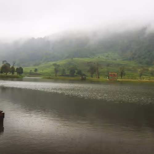 The Mountains and Forests