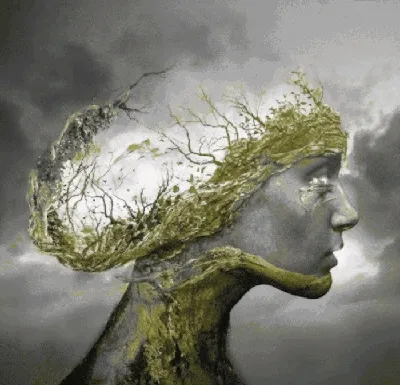 The mum of the plants