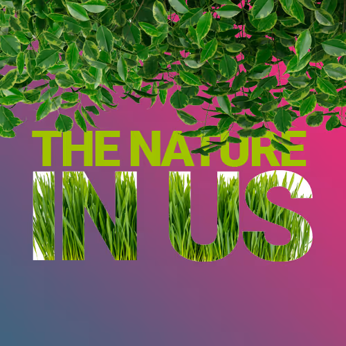 The Nature In Us - old