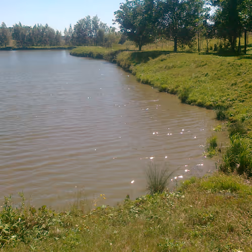 The nature of the village