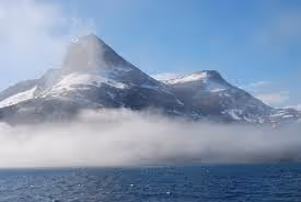 The Northpole Animals
