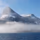 The Northpole Animals