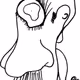 the nose man - old