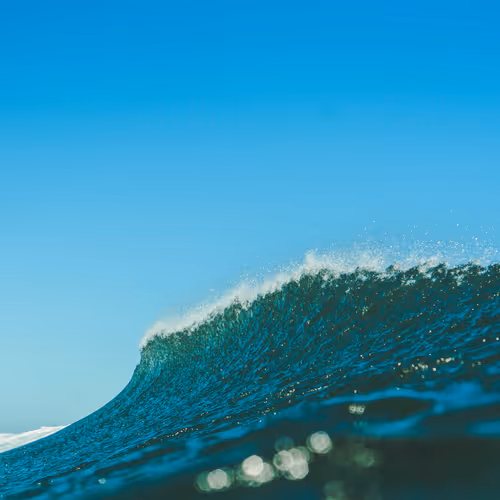 The Ocean My Heart