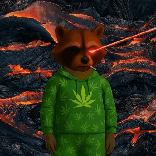 The OG MK Raccoon Collection