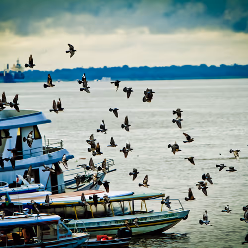 The Old Modern Manaus | A Velha Manaus Moderna
