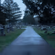 The Path of Life