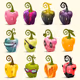 The Peppers Kollection