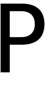 The Performium Server