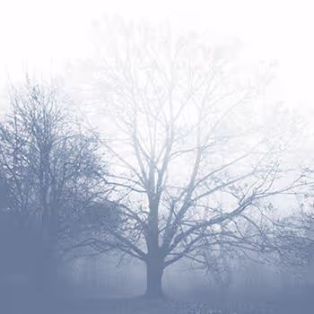 The Photographic BluePrinT II - old