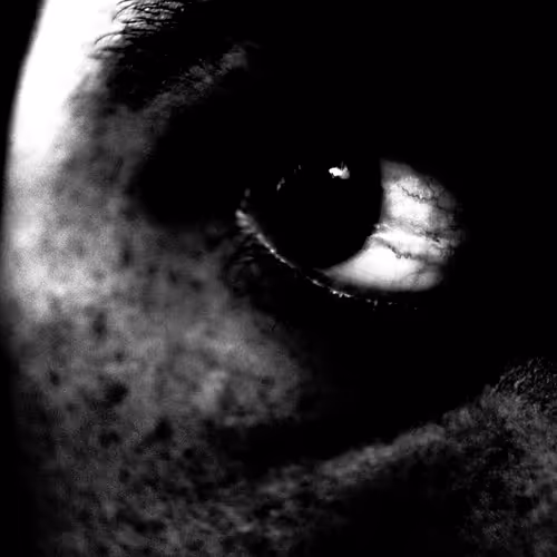 The Physical World - old