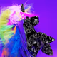 The Ponycorns Season 1