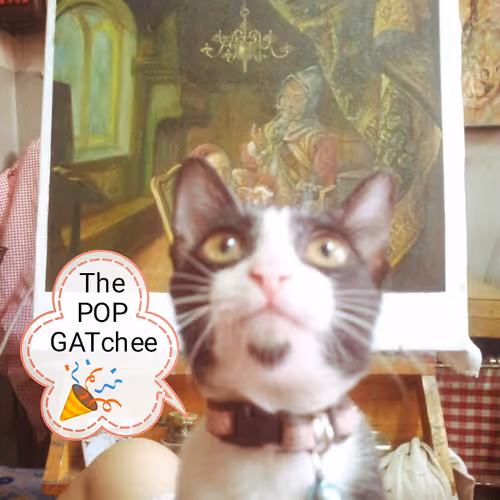 The POP GATchee