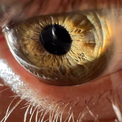 The portal into the soul