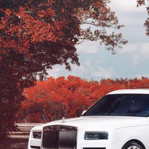 The power of the universe.