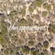 The Preserves