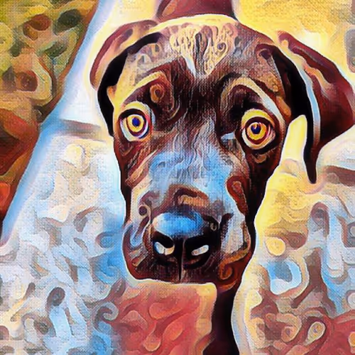 The Puppy