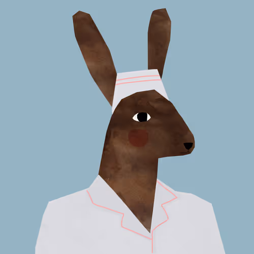 The Rabbit Nurse