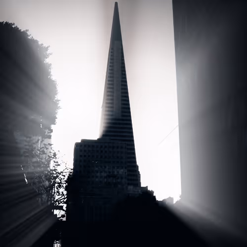 The rays of light