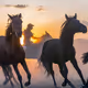 The rise of horses - old