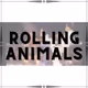 The Rolling Animals